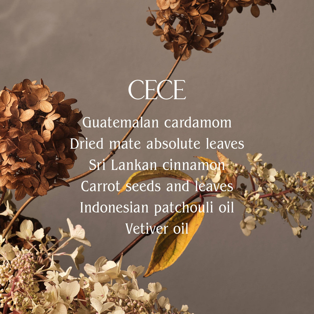 Cece Body Butter | Half Case